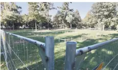  ?? FOTO: FABIAN KAMP ?? Im Kaiserpark haben die Vorbereitu­ngen zum Bau des Pavillons von Thomas Schütte für das Bauhaus-Gedenkjahr begonnen.