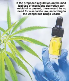  ??  ?? If the proposed regulation on the medical use of marijuana derivative cannabidio­l is passed, there would be no need for a separate law, according to the Dangerous Drugs Board.