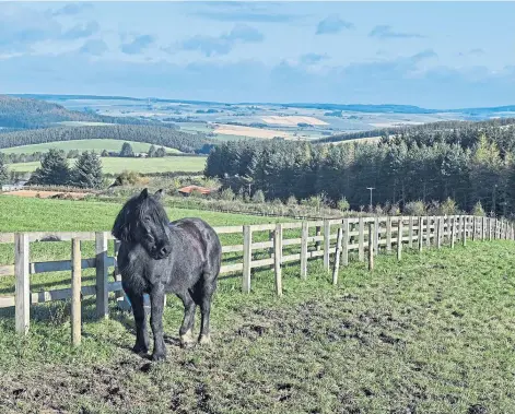  ?? ?? FUTURE PLANS: Touchdown Memorial Home for Horses, near Keith, wants to build a cafe and meeting place.