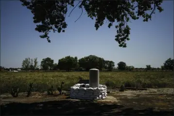  ?? JAE C. HONG — THE ASSOCIATED PRESS FILE ?? Sandbags are stacked around a well in anticipati­on of flooding of the Kings River in the Island District of Lemoore, April 19, 2023. California officials are considerin­g whether to take over monitoring groundwate­r use in the fertile San Joaquin Valley under a landmark law aimed at protecting water flow to homes and farms.