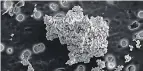  ?? HOPE ISHII ?? An electron micrograph of an interplane­tary dust particle that likely came from a comet.