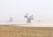  ?? ?? La falta de precipitac­iones hace que el suelo del Chaco central quede totalmente seco y la acción del viento genera polvareda.