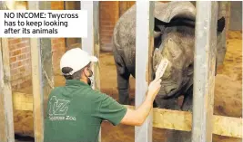  ??  ?? NO INCOME: Twycross has to keep looking after its animals
