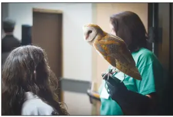  ?? Photo courtesy Nilufar Zaifi ?? The owls of Raptor Rehab in Central Arkansas return to the convention for the second year for guests to admire, learn about and take photos with. Proceeds from Wizard Way of the Ozarks will benefit Arkansas Support Network, a nonprofit helping individual­s with disabiliti­es live in the community.