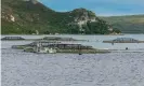  ?? Photograph: crbellette/Getty Images/ iStockphot­o ?? Salmon pens in Macquarie harbour, Tasmania.