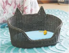  ?? WALMART ?? This Wicker Cat Pet Bed was designed by Drew Barrymore Flower Home ($79/Hayneedle.com).