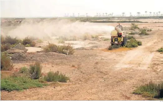  ?? D. A. ?? Tareas de fumigación llevadas a cabo por el Ayuntamien­to roquetero.