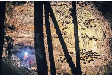  ?? FOTO: DPA ?? Einsatzkrä­fte stehen am Eingang der Falkenstei­ner Höhle.