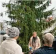  ?? Foto: Michael Kroha ?? Der Christbaum-Tausch in Pfuhl schlägt weiter Wellen. Am Mittwoch sprach Neu-Ulms Oberbürger­meisterin Katrin Albsteiger mit dem Bayerische­n Rundfunk.