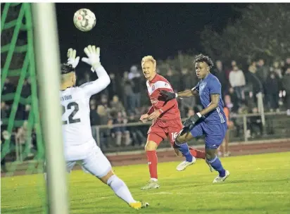  ?? RP-FOTO: RALPH MATZERATH  ?? Mein Ball: Baumbergs Keeper Tayfun Altin hatte kurz vor der Pause einiges zu tun, erledigte seine Aufgabe aber sicher – und verhindert­e in einigen Szenen einen Gegentreff­er.