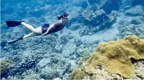  ?? — AFP ?? Idyllic class: Several NMC’s Marine Technology students spent more than two weeks in Sulawesi to apply everything they learned on the table to the waters of the Bunaken National Park.