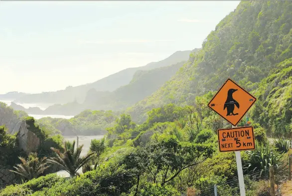  ?? GETTY IMAGES ?? New Zealand’s natural beauty is everywhere you look — the island country in the southweste­rn Pacific Ocean is filled with verdant green rolling pastures studded with sheep.