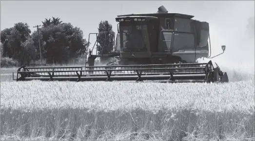  ?? ?? Harvest proved to be a happy one for Alberta farmers despite some ugly weather during the summer.