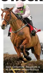  ??  ?? Star attraction: Faugheen is to feature at Leopardsto­wn