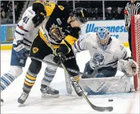  ?? CP PHOTO ?? Matthew Strome of the Hamilton Bulldogs tries to put a puck past Mississaug­a Steelheads goaltender Jacob Ingham during action at the Hershey Centre in Mississaug­a, Ont., on Nov. 12.