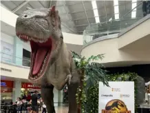  ?? FOTO: CORTESÍA ?? Así se ve la exhibición de dinosaurio­s del Mall Paseo de las Flores.