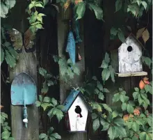  ??  ?? Birdhouses and other garden art adorn the fence.