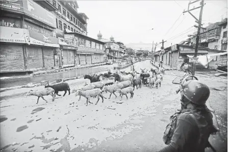  ?? MUKHTAR KHAN THE ASSOCIATED PRESS ?? Indian paramilita­ry soldiers guard as a Kashmiri livestock seller crosses a street ahead of Eid al Adha during a security lockdown in Srinagar, Indian controlled Kashmiri, on the weekend.