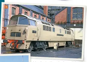  ?? COLOUR RAIL ?? 1: As well as ploughing a unique furrow with its choice of diesel-hydraulic traction, the Western Region was also fond of non-standard colour schemes, as illustrate­d by D1000 Western Enterprise, in the striking Desert Sand livery.