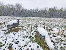  ?? PHOTO CONTRIBUTE­D BY LARRY CASE ?? A recent spring turkey hunt in Missouri for outdoors columnist Larry Case and CZ-USA shooting pro Dave Miller brought two very different days of weather, two gobbler kills and two trips to Johnny’s Tavern.