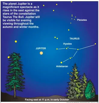  ??  ?? SUSAN THOMSON-STAMCOFF/The Windsor Sta Beautiful as the Pleiades and Hyades are to the unaided eye, both clusters are simply stunning
when seen through binoculars.