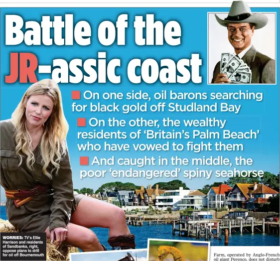  ??  ?? WORRIES: TV’s Ellie Harrison and residents of Sandbanks, right, oppose plans to drill for oil off Bournemout­h