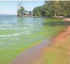  ?? FILE ?? It should be a relatively mild season for Lake Erie’s harmful algal blooms (HAB), with forecaster­s predicting a bloom of 3.5 on a severity index scale of 1 to 10.
