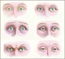  ??  ?? I sketch out these pairs of eyes based on simple circles. As well as eyebrows and wrinkles, don’t forget that the pupil size varies according to the light in the scene and your character’s mood.