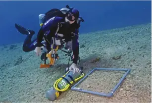  ?? (Dr. Tom Shlesinger) ?? DR. OMRI BRONSTEIN of Tel Aviv University studies seabed creatures in the waters south of Eilat.