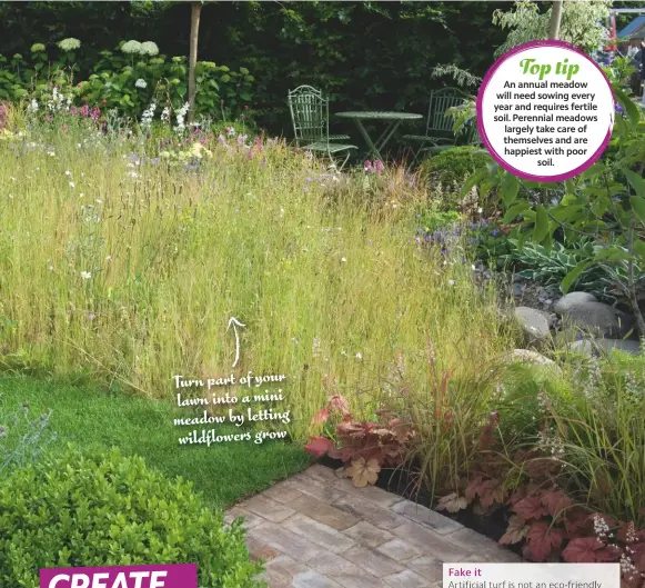  ??  ?? Turn part of your lawn into a mini meadow by letting wildflower­s grow