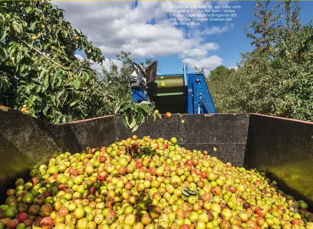  ??  ?? Belgien är inte känt för sin cider som England och Franrike men i Vallée d’Aubel ligger äppelodlin­garna tätt och här har Cidrerie Stassen sitt utveckling­slabb.