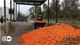  ??  ?? Oranges are recycled at an urban wastewater treatment plant in Seville