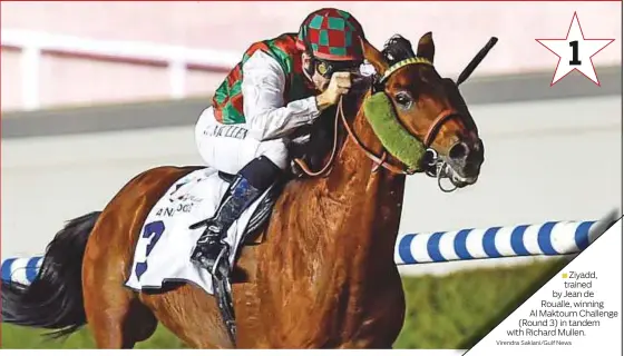  ?? Virendra Saklani/Gulf News ?? Ziyadd, trained by Jean de Roualle, winning Al Maktoum Challenge (Round 3) in tandem with Richard Mullen.