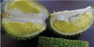  ??  ?? This locally-produced durian has superior eating quality.