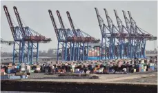  ?? FOTO: DPA ?? Containerk­räne der Hamburger Hafen und Logistik AG: Deutschlan­ds Exporteure lassen die Corona-Krise hinter sich und sind zurück auf Erfolgskur­s.