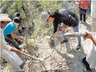  ?? REUTERS ?? Familiares de desapareci­dos excavan en el Estado de Guerrero