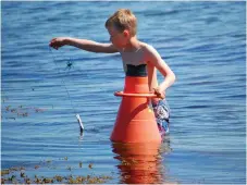  ??  ?? Maxwell Johansson Wange försöker fiska krabba samtidigt som han tittar i vattenkika­ren.
