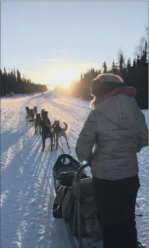  ??  ?? PULLING POWER: Dog sledding is one of the new winter sports that is now on offer.