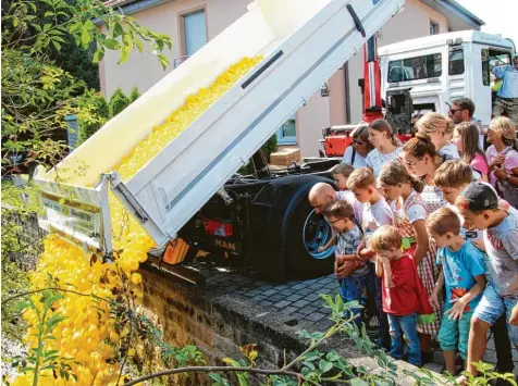  ?? Fotos: Franz Issing ?? Rein damit! Unter staunenden Blicken gingen 3780 Plastikent­en ins Rennen auf dem Wörthbach. Von einem Lastwagen wurden die Starter ins Wasser gekippt, wo sie dann möglichst schnell dem Ziel entgegen trieben.