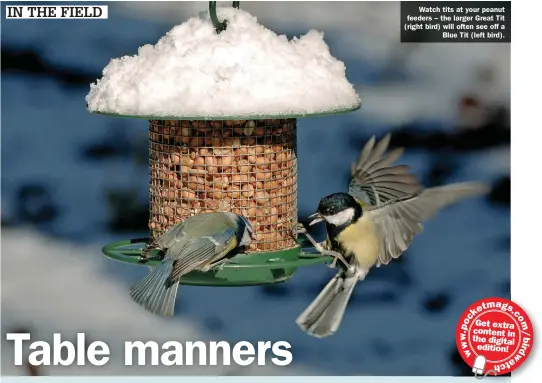  ?? ?? Watch tits at your peanut feeders – the larger Great Tit (right bird) will often see off a Blue Tit (left bird).