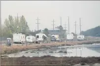  ??  ?? RVs, cars, and trucks are parked along Binford Road next to the Rush Creek Marsh in Novato.