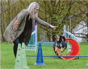  ?? Foto: Marcus Merk ?? Für einen kleinen Hund macht Emma große Sprünge. Sowohl die Mischlings­hündin als auch ihr Frauchen hatten Spaß beim ge meinsamen Sport. Mit Begeisteru­ng wurde über Hürden gesprungen und durch den Tunnel gekrabbelt.