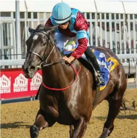  ?? Picture: Gold Circle ?? ONE TO BEAT. Conditione­r Michael Roberts-trained Jack’s Bird will attempt to regain winning form when she runs in Sunday’s Beach Beauty Mile at Greyville.