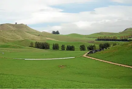  ?? PHOTO: SUPPLIED ?? The farm features excellent access from all-weather laneways.