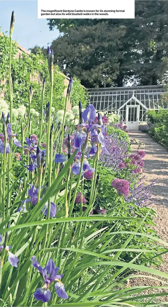  ??  ?? The magnificen­t Gardyne Castle is known for its stunning formal garden but also its wild bluebell walks in the woods.