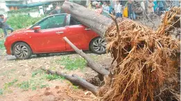  ?? — GANDHI ?? A tree in Motinagar got uprooted and fell on a car damaging the vehicle. The city witnessed heavy rains over the past few days.