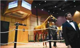  ?? FASIG-TIPTON PHOTO ?? Blue Prize, upset winner of the Breeders’ Cup Distaff, sells for $5 million on Tuesday to top the Fasig-Tipton November sale.