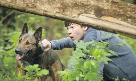  ?? KENT SMITH/ WARNER BROS. ?? Max ( played by Carlos the dog) bonds with his new master Justin ( Josh Wiggins), in the sweet, message- y Max.