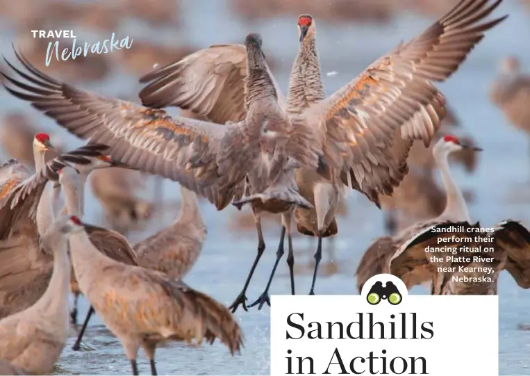  ??  ?? Sandhill cranes perform their dancing ritual on the Platte River near Kearney, Nebraska.