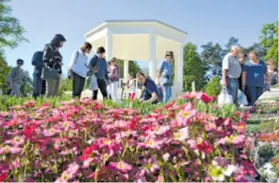  ??  ?? Središnji gradski park “okupiralo” je 60 izlagača